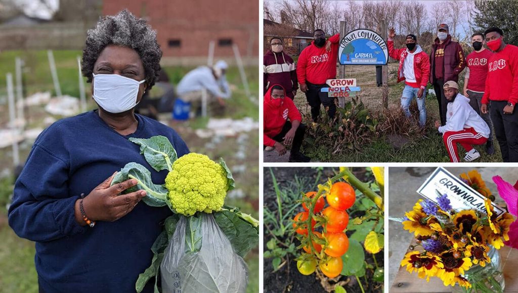 Collage of Crown Community Garden's volunteers, gardens, produce, and flowers
