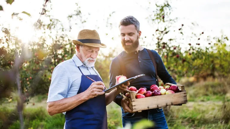 Apple orchard employees