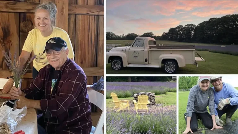 Collage of the Lavender Fields at Pumpkin Blossom Farm